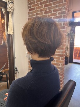 ヴィップルーム(viproom) セクションカラー/グラデーションカラー/ダブルカラー