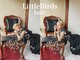 リトルバード(Little Birds)の写真