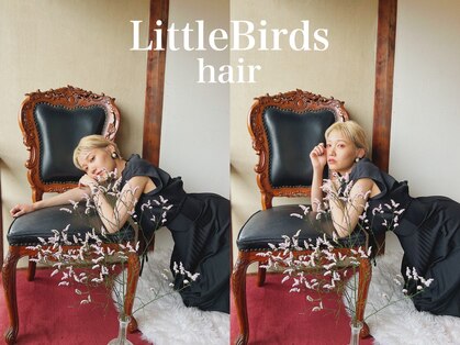 リトルバード(Little Birds)の写真