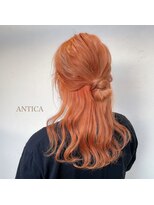 アンティカ(ANTICA) orange color