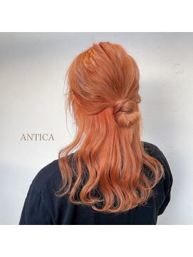 アンティカ(ANTICA) orange color
