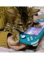 ウニコ(unico) ゲームが大好きです！！が、愛猫に邪魔されます笑