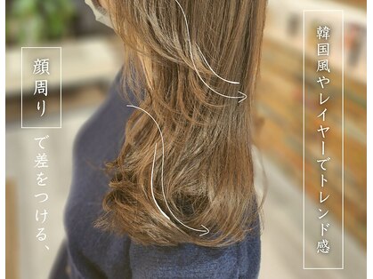 アブソ(Absolute)の写真