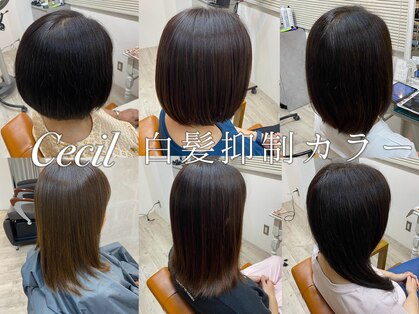 セシル(Cecil)の写真
