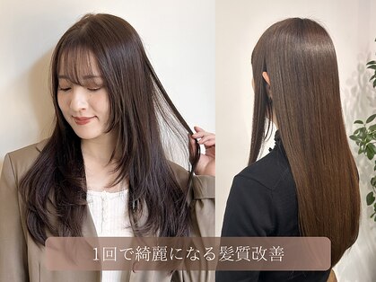 ジプソ(Gypso)の写真