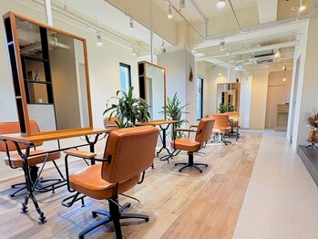 lucca 浦安 髪質改善【ルッカ】