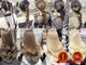 ビゼ 梅田(BIZE)の写真
