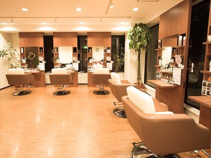 アネロ(anello)の写真
