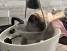 カット+炭酸頭浸浴　《湯に包まれる新感覚スパ！》