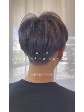 ネオエストログ(NeoestLog) マッシュレイヤー+グレーカラー