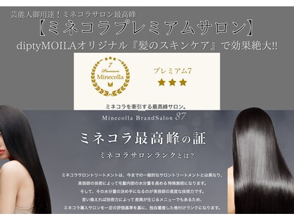 ディプティモイラ(dipty MOILA)の写真