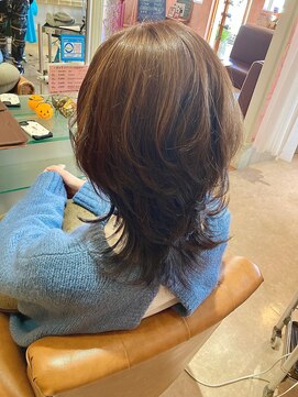 ラ ブリエ 成田公津の杜(La briller) ウルフ×デザインカラー