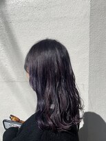 デイジーロータス(DAISYLOTUS)&nbsp;【シライ】ディープヴァイオレット