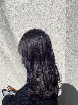 デイジーロータス(DAISYLOTUS) 【シライ】ディープヴァイオレット