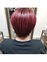 ゼットサロン(Z SALON) カラースタイル集３００　ー０２９ー　くすみボルドーカラー