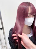 ピンクラベンダー