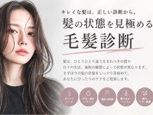 髪の状態を見極める毛髪診断
