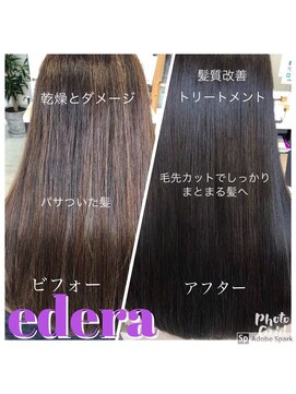 エデラ グランディ オーソ(edera Grandi-oso) 大人ロング