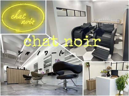 シャ ノワール(chat noir)の写真