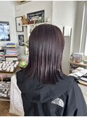 2025 ミディアム × チェリーブラウン