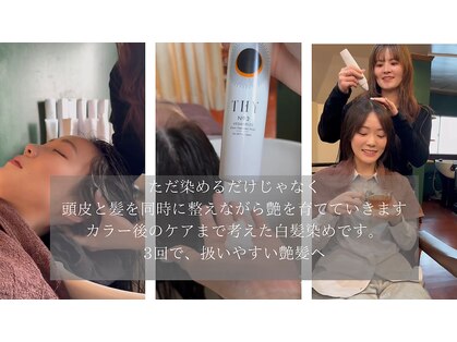 ギリア(Gillia)の写真