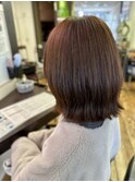 ブリーチなし ショコラブラウン 大人ボブ