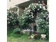 アンジュール(unjour)の写真
