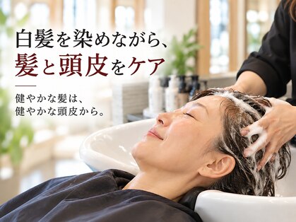 アイスタイル(I STYLE)の写真