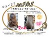 【新規限定】最短で美髪ケア♪髪質デザインカラーカットとホームケアがついて