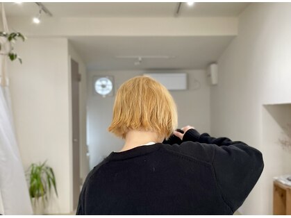 イトア(itoa)の写真