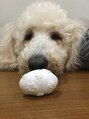 エタニティ ヘア ブランド(Eternity HAIR BRAND) 愛犬のもなか♪