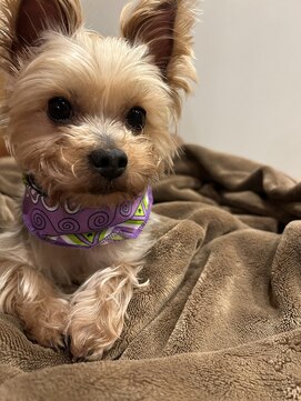 ヌック(NOOK) NOOK Hair Room 12