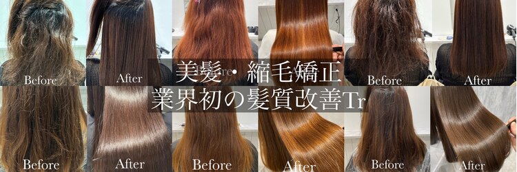ミモザ(Mimosa)のサロンヘッダー