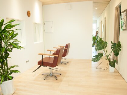 カンパーモ(Kampaamo)の写真