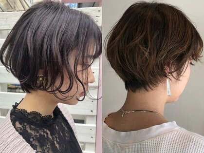 ガリィ(gally)の写真