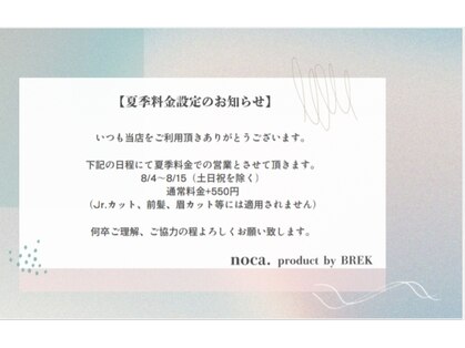 ノカプロダクトバイブレイク(noca. product by BREK)の写真