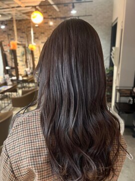 スペックホルダー(Spec Holder) 秋カラー11/5暗めカラー