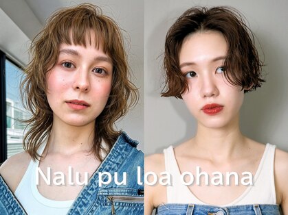 ナループロアオハナ(Nalu pu loa ohana)の写真