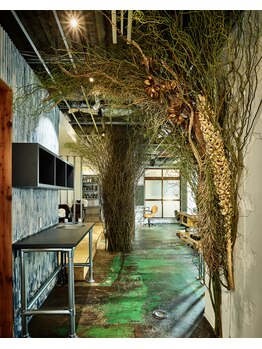 テイ(tei)の写真/「ちょっと気が抜ける」アットホームで廃材を活かしたリノベーション空間は、まるで自然の中のような気分に