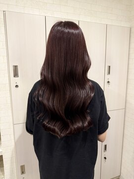 シェミール(CHEMIR) ワインレッド【秋カラー/艶カラー】