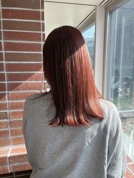 ルームヒゴバシ(room higobashi) oway ボルドーカラー