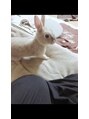 チェス(CHESS)&nbsp;マイペットのうさぎ、メロちゃんです★[髪質改善/ヘッドスパ]