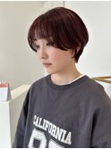 福井 大和田 ショート ハンサムショート レッドブラウンカラー