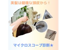 ヘアーフォトギフト(HAIR×PHOTO gift.)