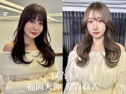 アテナ(ATENA)の写真