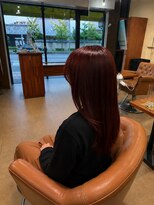 ニコロ(Niccolo)&nbsp;カシスレッド