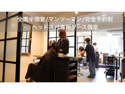 ギリア(Gillia)の写真