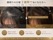 ルクス(Lux)の雰囲気(《顔周りの白髪が2週間で気になる》ならオススメな施術◎)