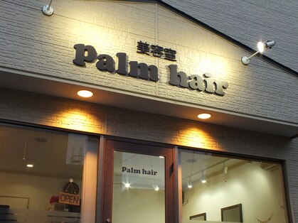 パームヘアー(Palm hair)の写真