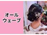 【オールウェーブ】ヘアセット　6600円　【大正ロマン可愛い】